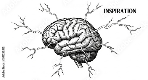 Human Brain with Branches and Word Inspiration.