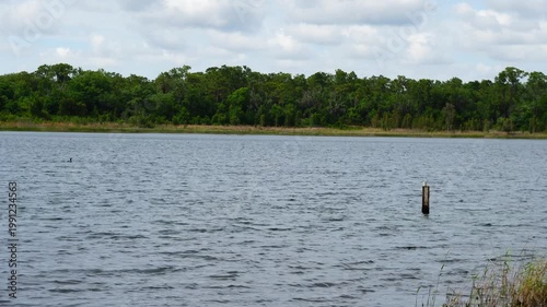 Landscape of Lake Rogers Park in Odessa, Florida, close to Tampa