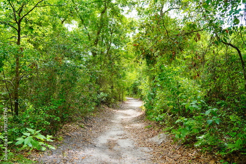 Schilderij op canvas Landscape of Lake Rogers Park in Odessa, Florida, close to Tampa
