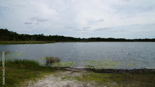 Landscape of Lake Rogers Park in Odessa, Florida, close to Tampa