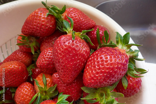 Fresh strawberries in a colander