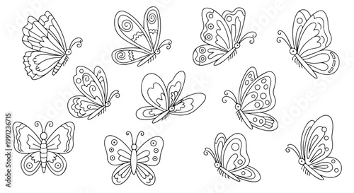 Vintage eagle wings illustration, detailed black and white feathered bird wings vector, heraldic angel wing pair for tattoo design and apparel