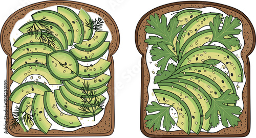 Fresh Sliced Avocado Toast with Herbs and Seeds on Whole Grain Bread Healthy Breakfast Meal Vector Illustration Set