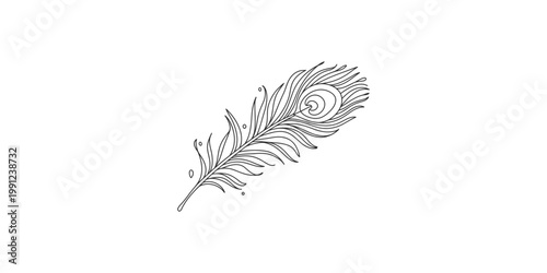 A delicate feather with intricate details and water droplets on its quill and barbs isolated on white background