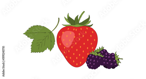 Fresh red strawberry and blackberries with a green leaf.
