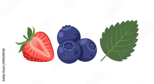 Illustration of a strawberry half blueberries and a green mint leaf.
