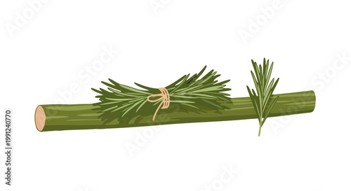 Illustration of a fresh green rosemary bundle and a single sprig on a wooden stem.