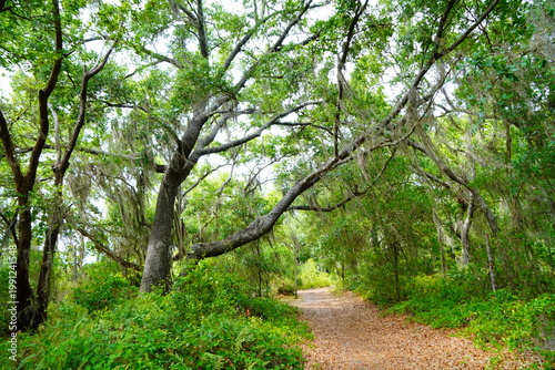 Cuadro en lienzo Landscape of Lake Rogers Park in Odessa, Florida, close to Tampa