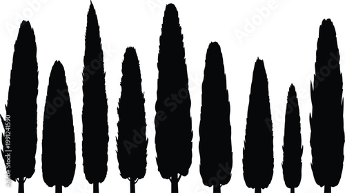 Cypress tree silhouette row collection with tree line