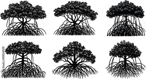 Collection of mangrove tree silhouettes