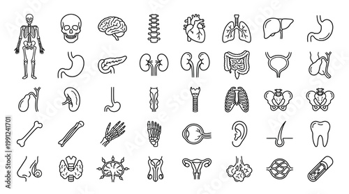 A comprehensive collection of 35 detailed black line icons depicting various human body parts and organs in a minimalist artistic style for medical and educational purposes on a white backgr