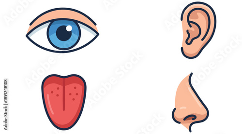 Essential human senses vector illustration set featuring eye, ear, tongue, and nose icons, perfect for medical or educational designs.