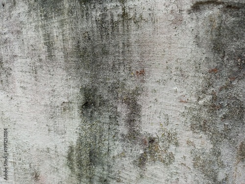 Old weathered concrete wall with mold texture