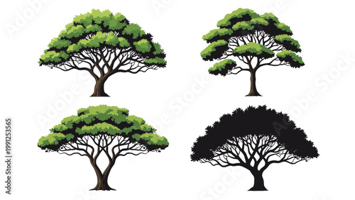 Collection of four different green leafy trees with thick trunks and sprawling branches shown from a side profile view.