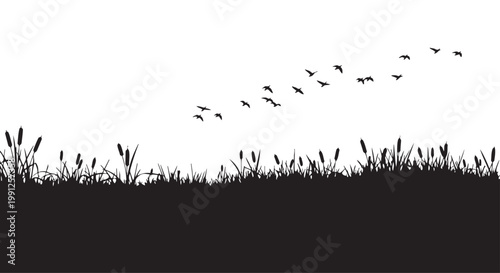 Vector illustration of birds flying over grass and cattails landscape