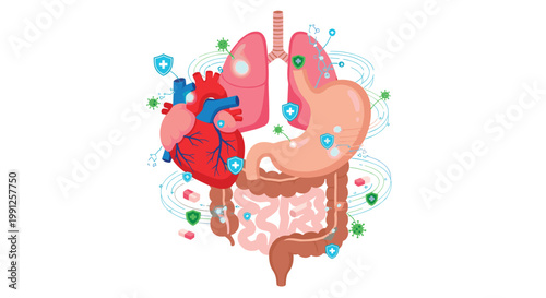 Stylized human internal organs including the heart and lungs are surrounded by protective blue shields and green virus icons in a medical illustration.