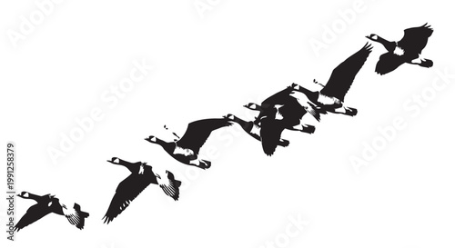 Vector illustration of geese flying in formation V shape