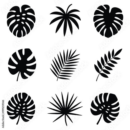 Collection of black tropical leaves