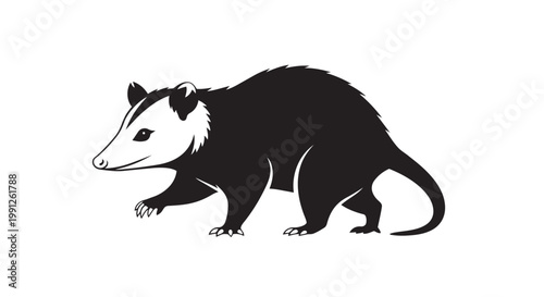 Black and white vector opossum illustration with detailed fur texture and claws