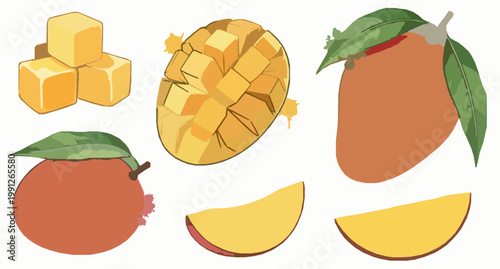 Watercolor mango set whole and sliced fruit with leaves paint splashes artistic vector illustration isolated on white
