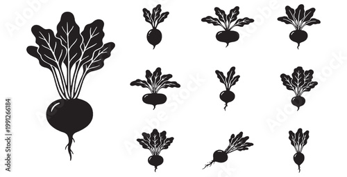 Black silhouette illustrations of beetroots with leaves and roots, depicted in various sizes and angles on a white background.