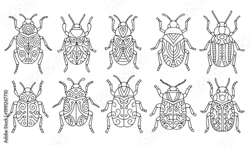Insect coloring page set hand drawn bug line art vector illustration isolated
