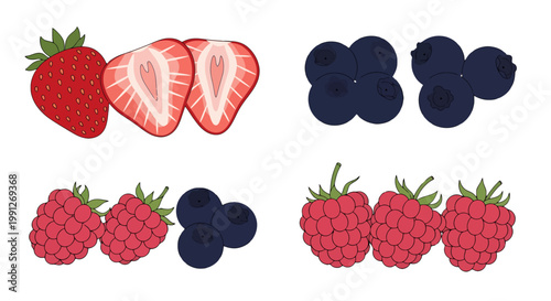 Hand Drawn Assorted Fresh Berries Set.
