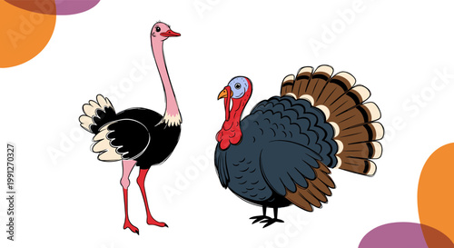 Ostrich and Turkey Illustration Featuring Large Flightless Bird and Colorful Poultry with Detailed Feathers for Wildlife, Farm, and Animal Design