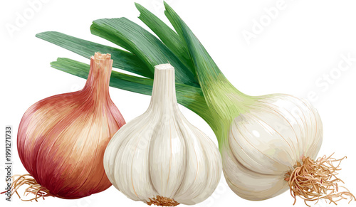 illustration of a leek, onion, and garlic vector set, isolated on a white background with a clipping path