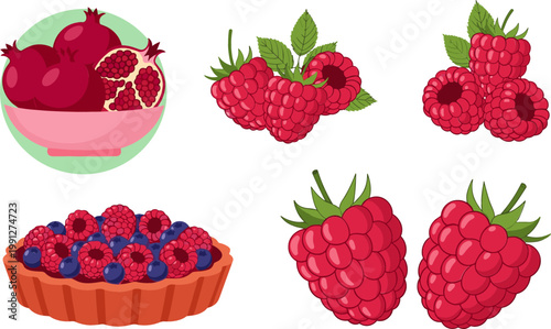 Vector Set of Raspberries and Pomegranates Including Berries, Fruit Bowl, and Tart for Healthy Eating, Fruit, and Dessert Illustrations