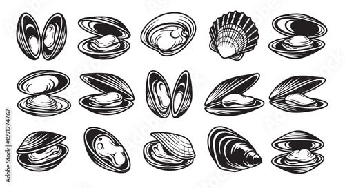 Vector illustration of various clam shells and mussels in black and white, seafood graphic design elements, shellfish vector graphics, ocean food illustration