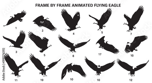 Frame by frame animated flying eagle vector illustration with multiple poses and movements shown in black silhouettes on white background for design and animation use.
