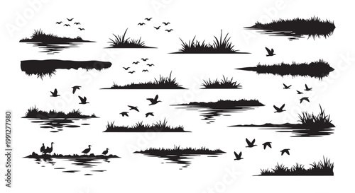 Vector illustration of black silhouettes of birds, grass, and water for design