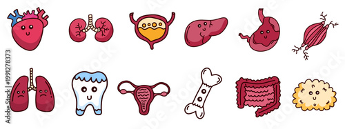 set of cute human body internal organs