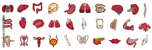 Collection of various human internal body organs