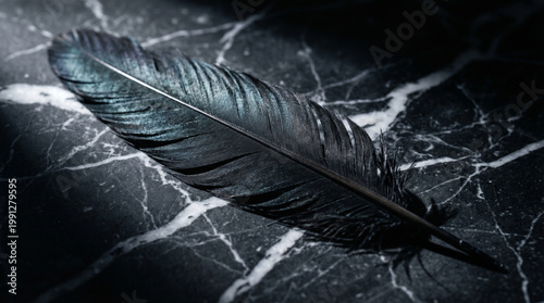 Black iridescent feather on dark marble surface with dramatic side lighting