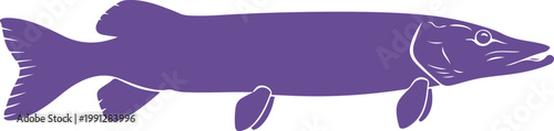 Illustrated purple pike fish graphic with detailed fins and scales isolated on transparent background