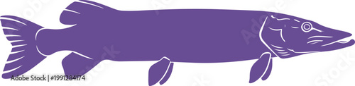 Illustration of a purple stylized pike fish isolated on transparent background for graphic design projects