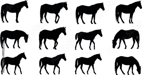 Horse silhouettes collection with different poses standing walking and grazing animals black figures isolated on white background