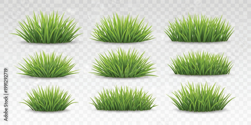 Green Grass Tuft Set with Fresh Lawn Bushes Meadow Clumps and Natural Garden Collection Design