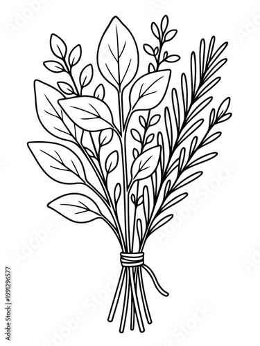 Aromatic Herb Bundle: An exquisite monochrome line drawing showcases a bundle of fragrant herbs, meticulously tied together, perfect for culinary and decorative purposes.