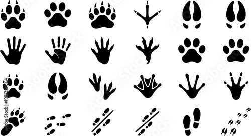 Black silhouette animal tracks collection featuring various paw prints with claws, hoofs, and bird footprints for zoology, veterinary, or wildlife themes