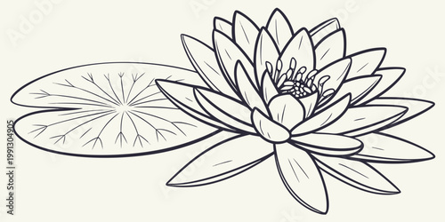 Detailed line art drawing of a lotus flower and large pad with botanical illustration minimalist elements composition ornamental decorative resource isolated peaceful decoration