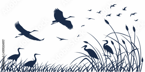 Birds in wetland landscape with reeds and flying cranes silhouette wildlife landscape waterfowl cattails illustration environment minimalist standing creature migration isolated