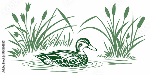 Green monotone illustration of a duck swimming in a pond with cattails wildlife waterfowl illustration monotone swimming floating environment stylized landscape waterbird peaceful