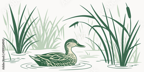 Stylized green illustration of a mallard duck in wetlands with cattails wildlife waterfowl illustration monotone swimming floating environment stylized landscape waterbird peaceful