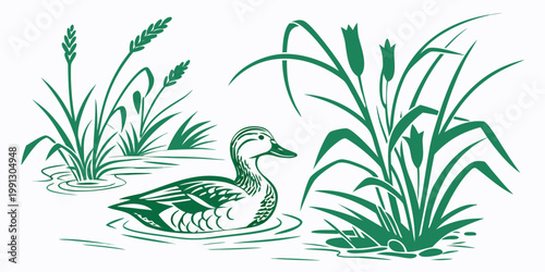 Green decorative graphic of a swimming duck in a reed bed pond environment with pond life graphic art waterfowl illustration wildlife swimming stylized outdoors creature wilderness landscape