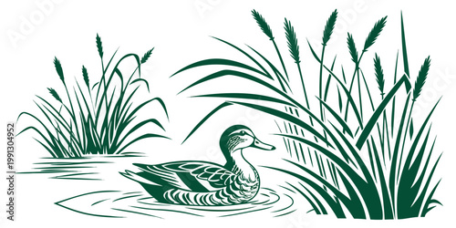 Stylized green duck swimming in a wetland with tall reeds graphic illustration pond life graphic art wildlife illustration swimming waterfowl nature scene stylized outdoors creature