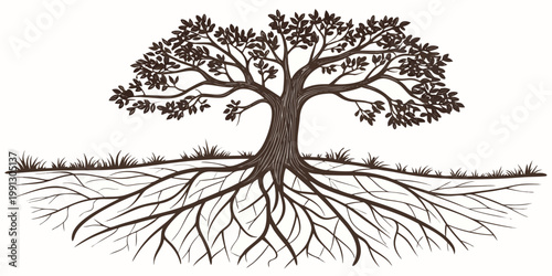 Graphic illustration of a leafy tree showcasing detailed underground root system with tree roots illustration environment isolated landscape stability strength ecosystem woodland vegetation