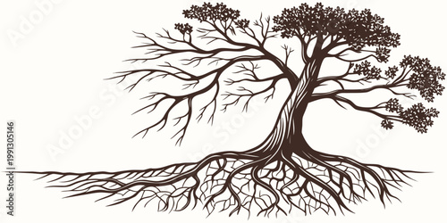 Stylized drawing of a tree with partial leaves and exposed roots on white background illustration environment isolated landscape stability strength ecosystem woodland vegetation
